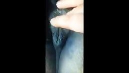 Different horse sex finger fuck