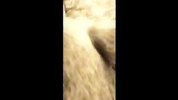 Dirty Horse fucking amateur POV