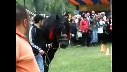 Horse party sex free xxx
