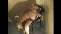 Dog porn 5