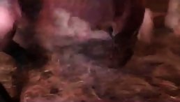 Taking big cock into her cunt