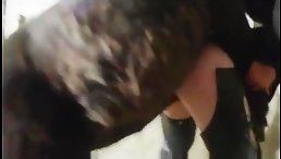 Black horse fucking tight pussy - Porn xxx