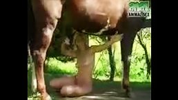 Blonde girl deepthroat horse big dick