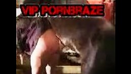 Super dick horse fucking tight ass