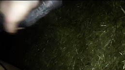 Horse Fucking Cook Show Porn Part 2