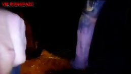 girl holding a horse penis