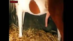 Sexy slut her ponyto fucking ass