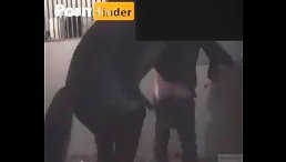 horse fuck human