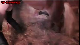big pussy for horse