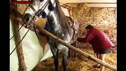 sex with horse
