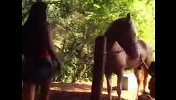 Latina Girl Fuck Horse Big Dick