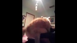 Cam Fuck dog