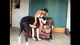 lucky big dog fuck curly girl public