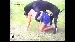 Amazing Babe Fucking Dog public