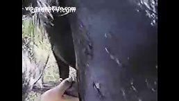 She Really Orgams When Sucking Dick Dog