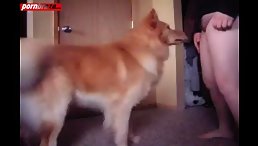Good Dog Lick Pussy