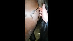 A Guy finger Fucking Female in Ass  porn 2018