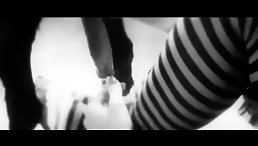 White and black xxx video dog sex