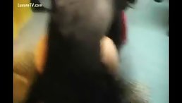 Black Dog Fuck Hot Teen