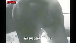 party sex for dog and girl