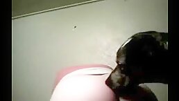 Blonde Having Sex with Dog