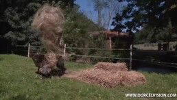 She said fuck off but she want to sucking hard
